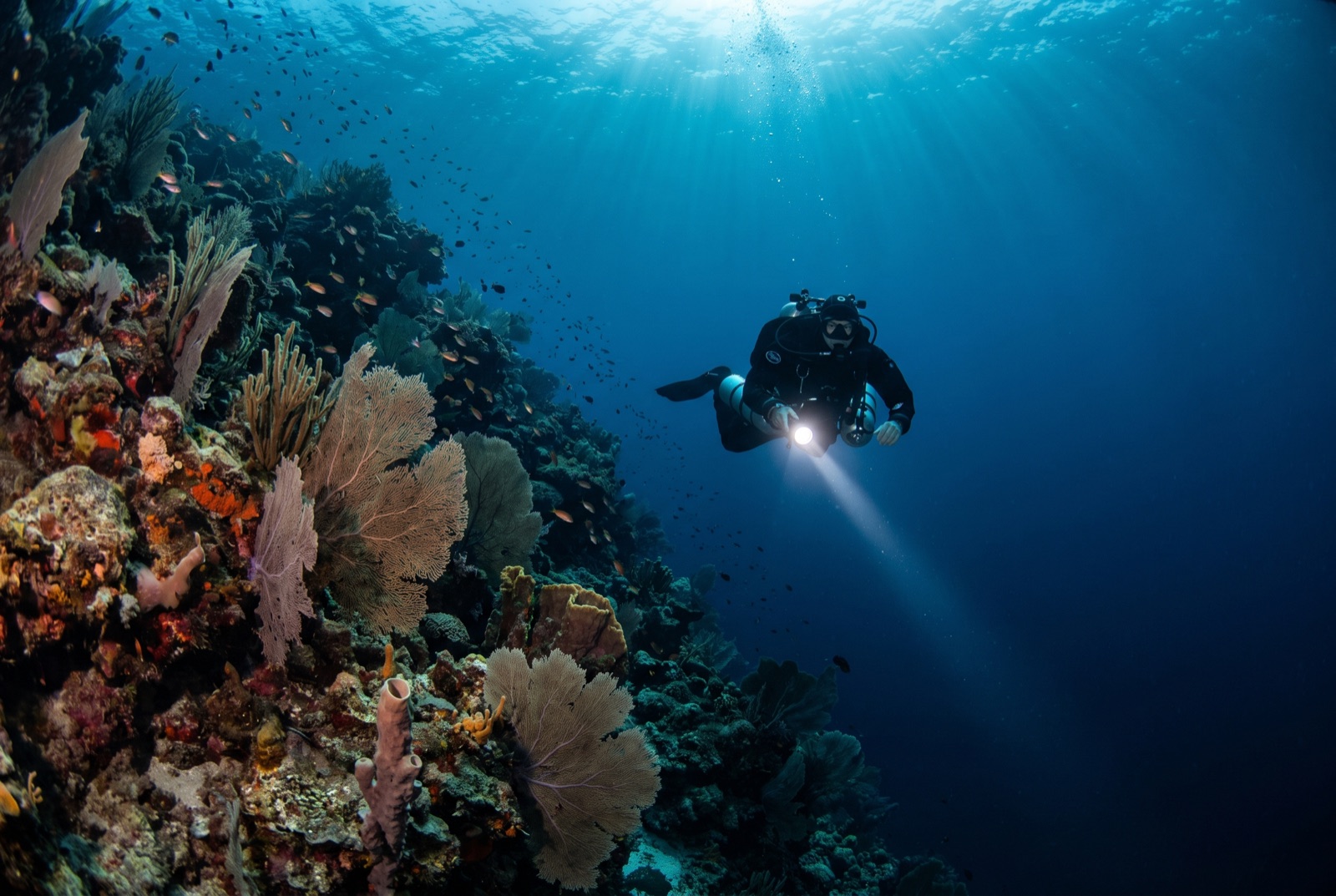 PADI Advanced Open Water Diver — PADI diving course across the GCC