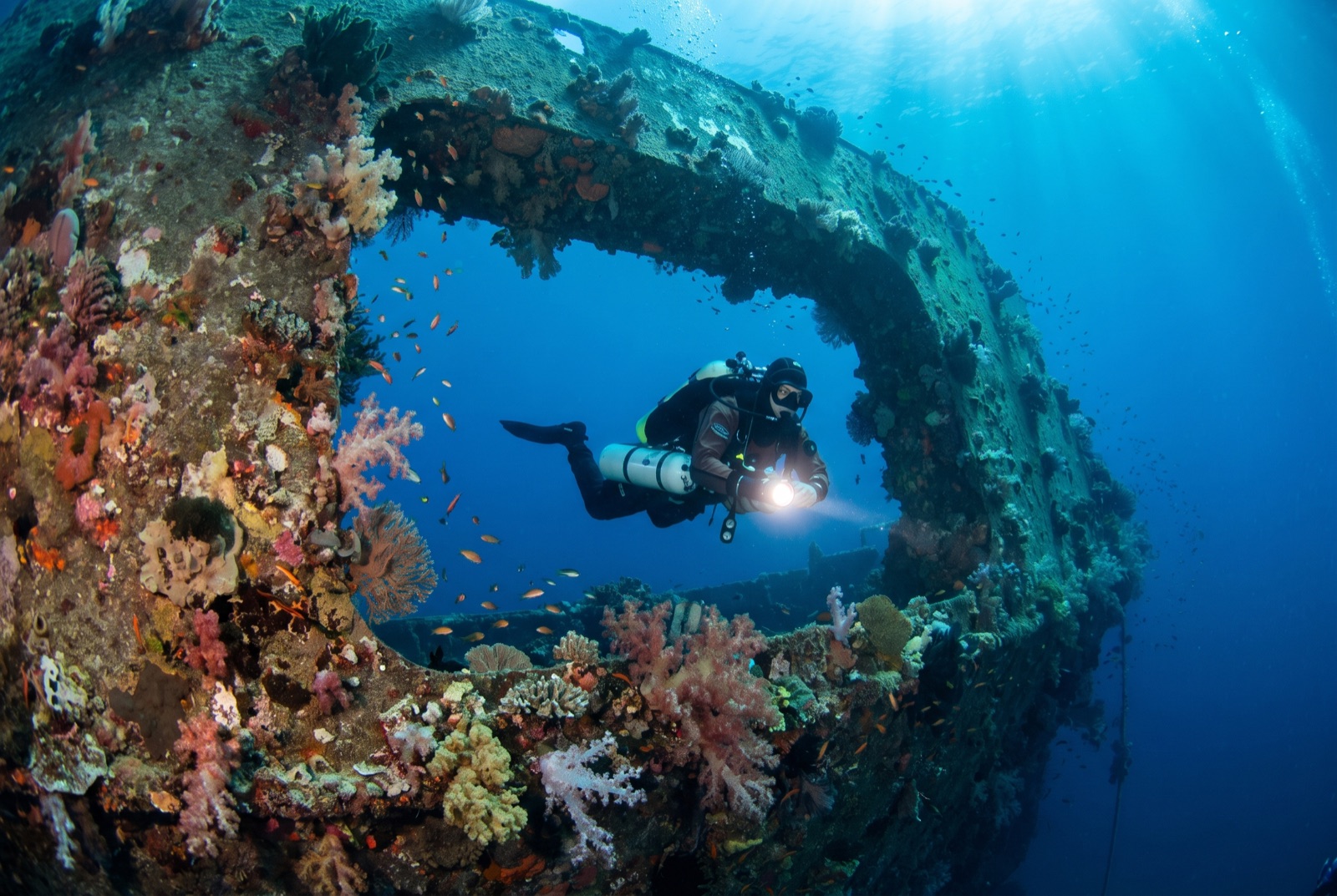 PADI Wreck Diver Specialty — PADI diving course across the GCC