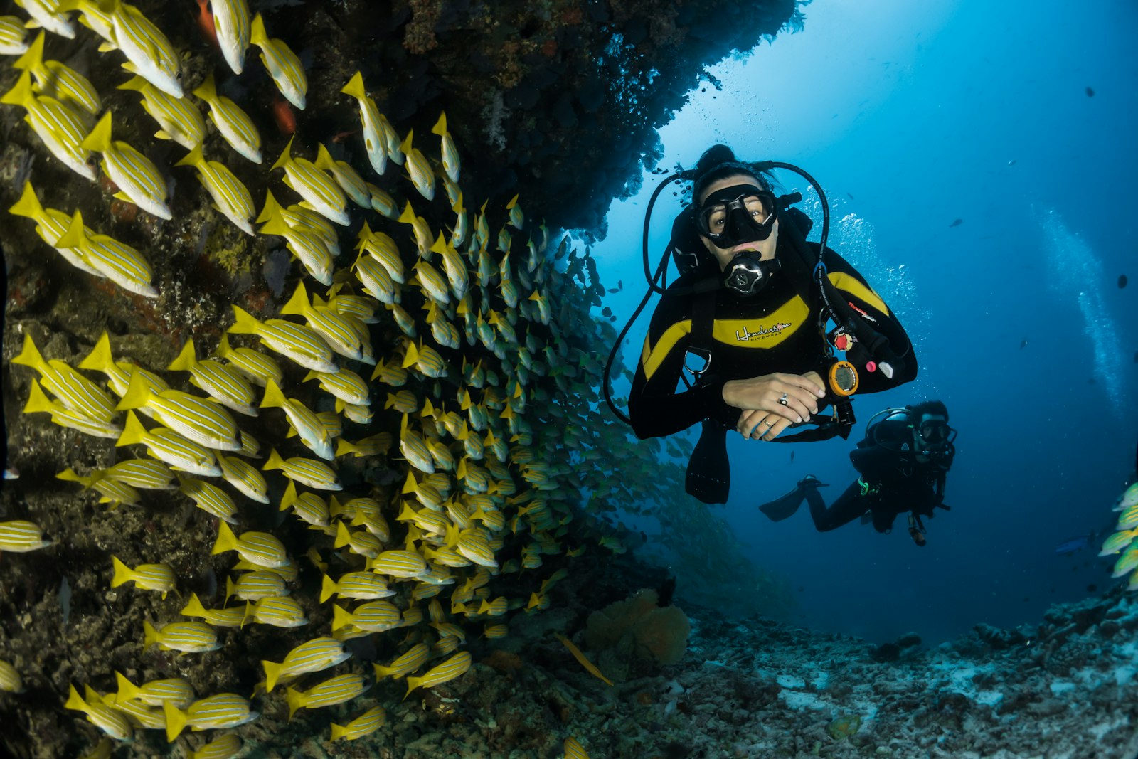 Scuba diver gliding above a sunlit coral reef in the Arabian Gulf