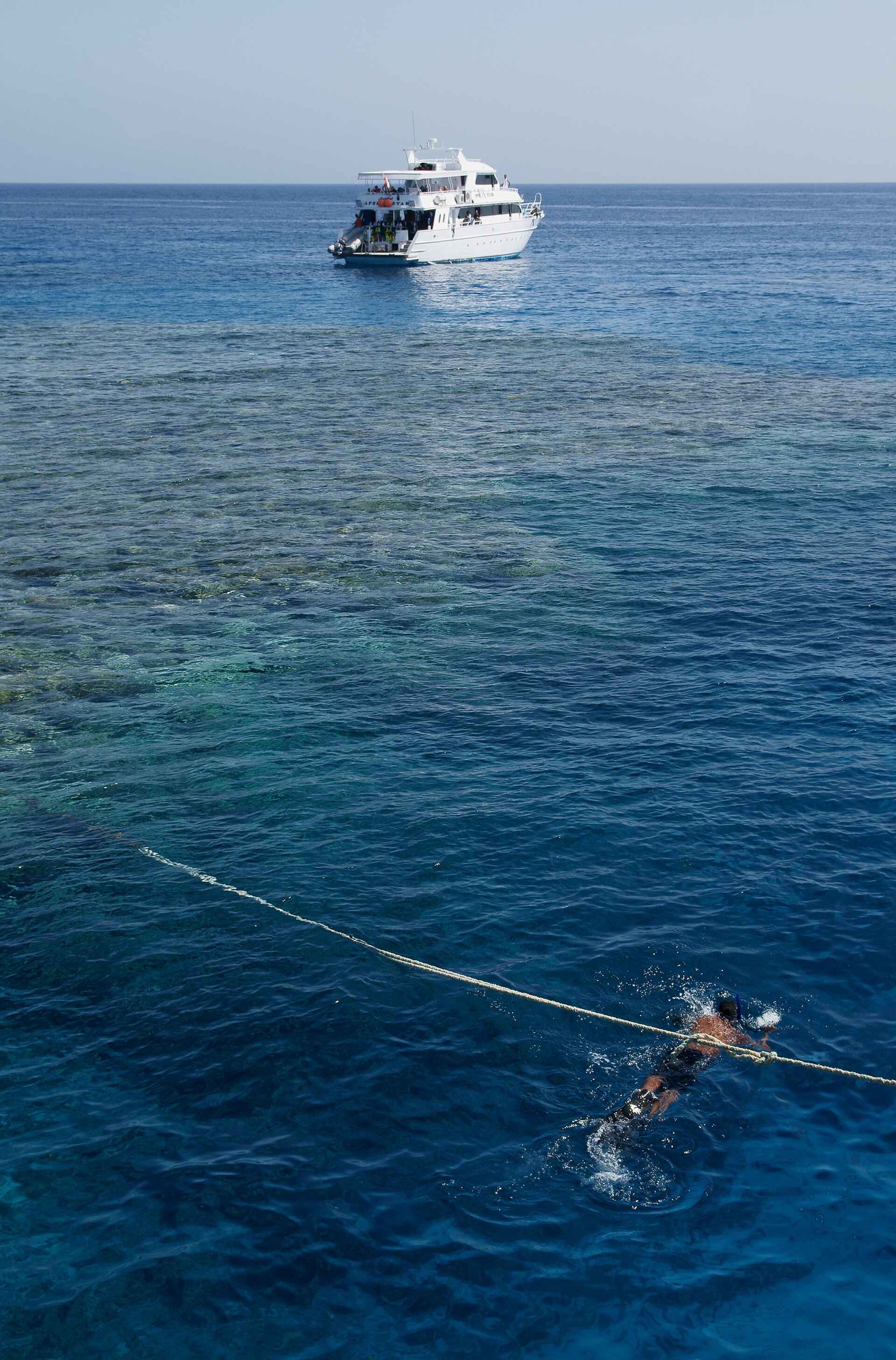 What to Bring and Wear for Diving in Warm Gulf Waters: A Practical Gear Guide